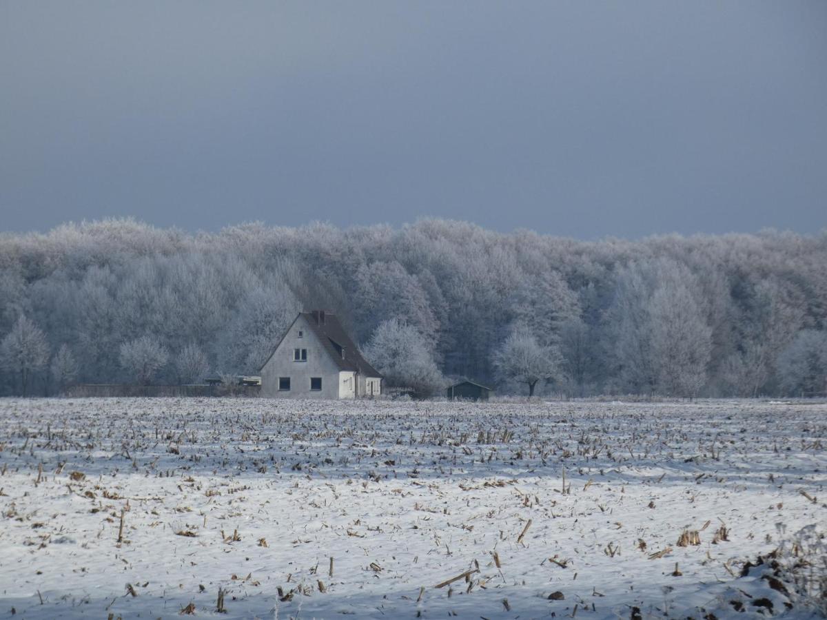 ヴェセンベルクFerienhaus Mit 2 Fewo In Mecklenburgアパートメント エクステリア 写真