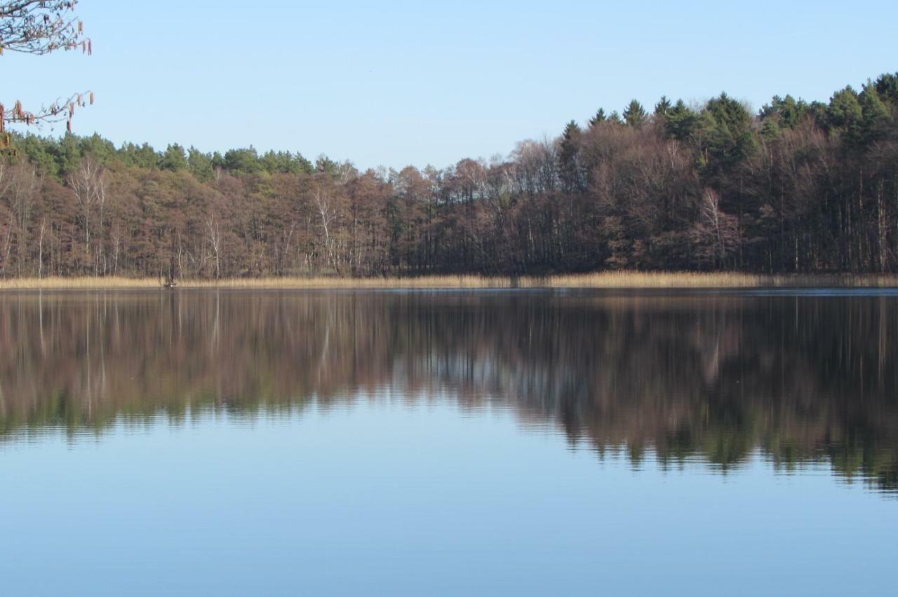 ヴェセンベルクFerienhaus Mit 2 Fewo In Mecklenburgアパートメント エクステリア 写真